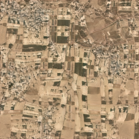 GeoMorphs Generated Image